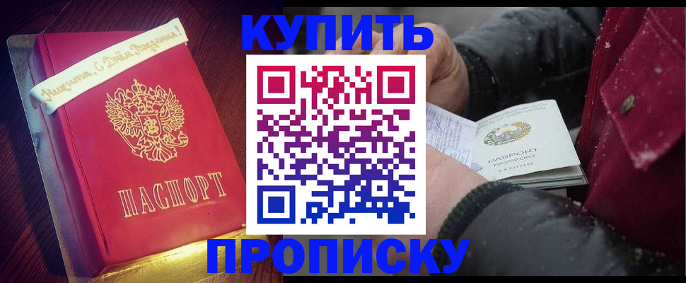 прописка гарантия в Шагонаре